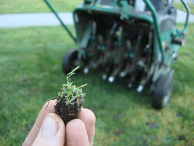 Core Aeration plug