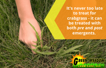 Crabgrass Pre v Post emergent