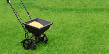 DIY lawn care 