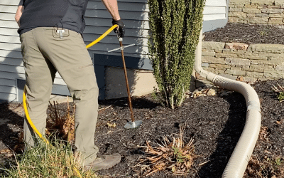 Deep root feeding shrub landscaping