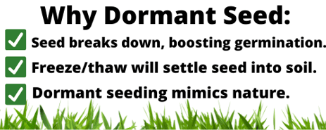 why Dormant Seed 