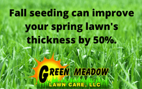 Fall seeding can improve your spring lawns thickness by 50%.