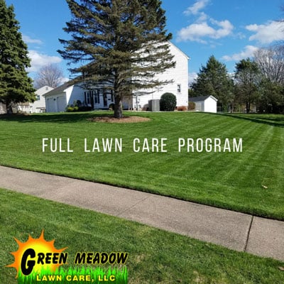 Green Meadow Lawn Care Full Lawn Care Program