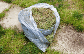 leave grass clippings on lawn for nutrients