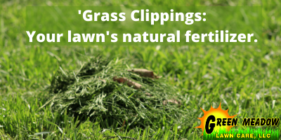 Grass-Clippings
