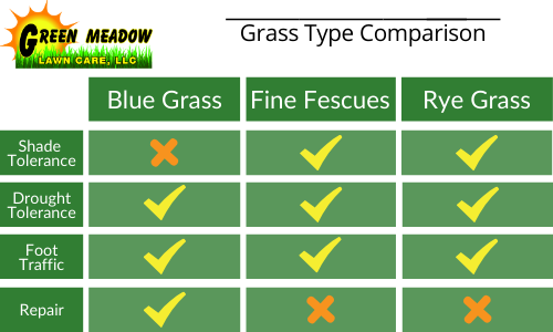 Grass types comparison