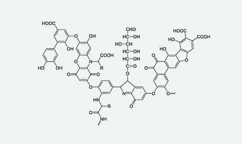 HumicMolecule