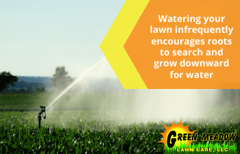 how often to water your lawn in spring 
