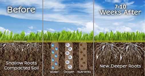 Lawn-Aeration-Benefits