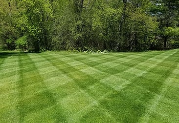 Lawn-Striping-Checkerboard-Photo
