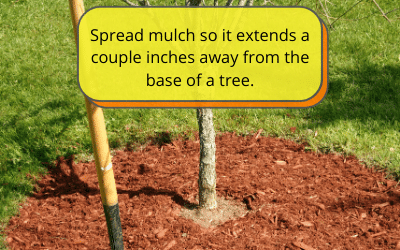 Mulching tips