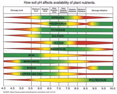 how to test my soil lawn pH