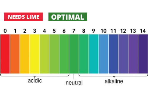 how-to-test-my-soil-ph-signs-that-my-lawn-is-too-acidic-or-alkaline