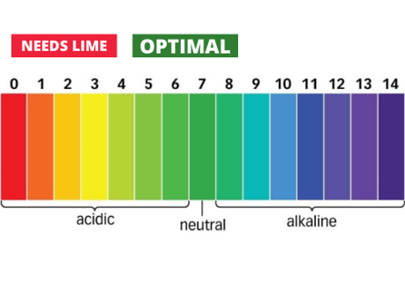 Lawn pH levels 