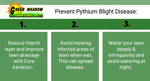 Prevent Pythium Blight