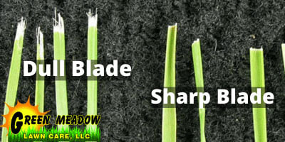 Dull vs Sharp Lawn Mower Blades 