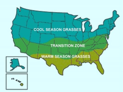 Cool season and warm season grass