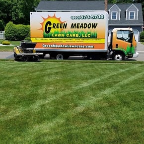 Green Meadow Lawn Care Green Lawn 