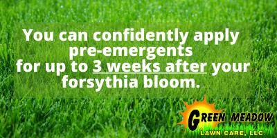 Crabgrass Pre-emergents 