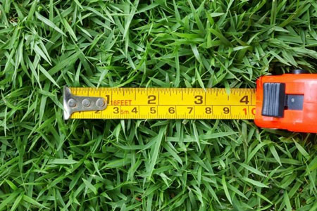 How to measure the size of your lawn