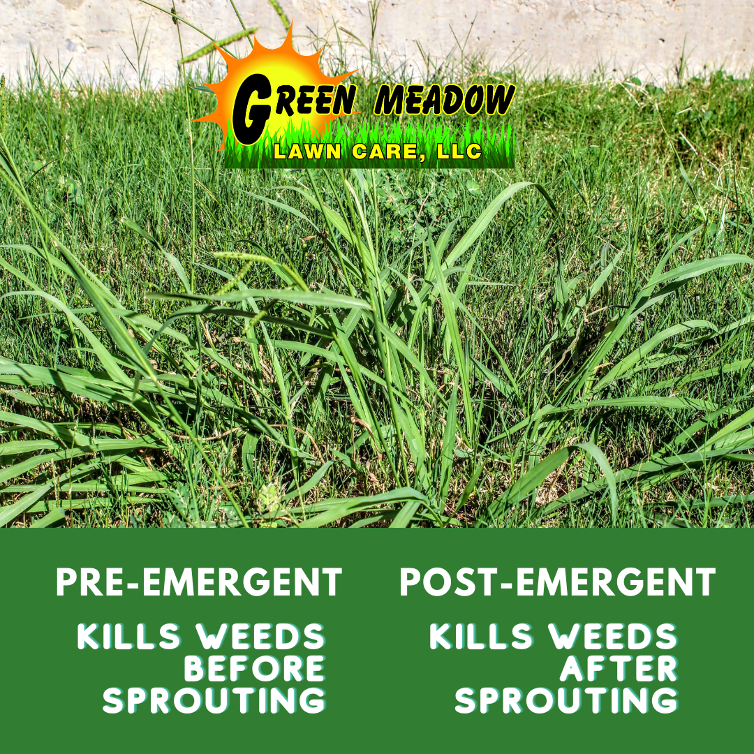 Green Meadow Lawn Care - pre emergent vs post emergent weed control 