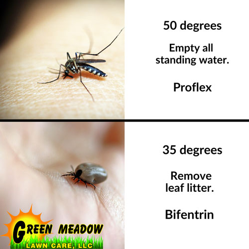 How to treat for ticks vs moquitos. 
