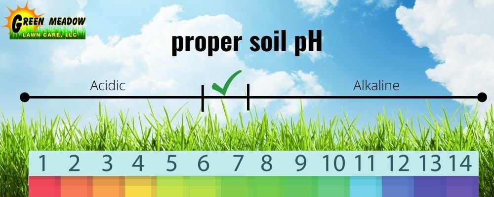 proper soil pH for New England lawns